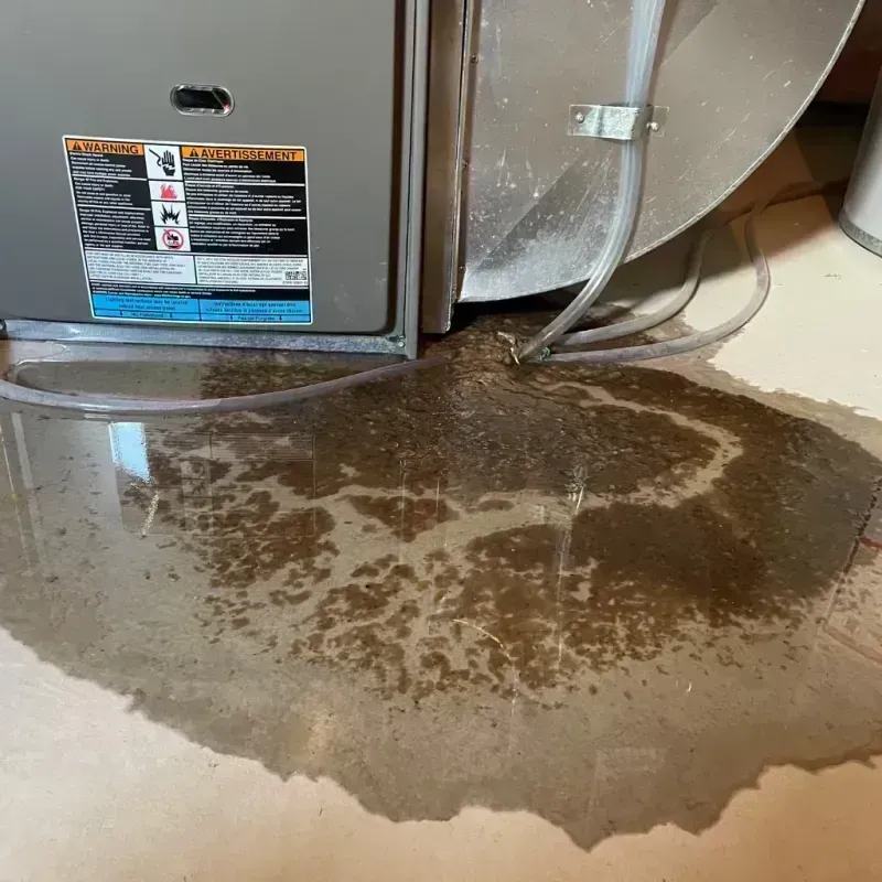 Appliance Leak Cleanup in Pendleton County, KY